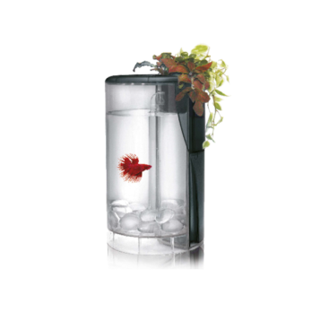Acuario con Iluminacion para Bettas ICA Kit Betta Flora LED 2l Negra