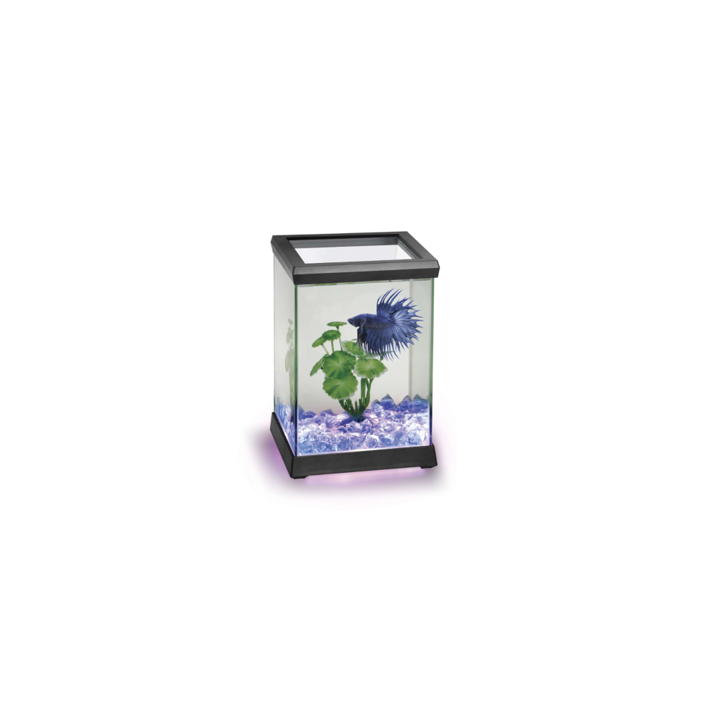 Acuario con Iluminacion para Bettas ICA Space LED 4,95 L Acuario con Iluminacion para Bettas ICA Space LED 4,95 L