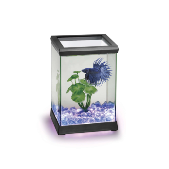 Acuario con Iluminacion para Bettas ICA Space LED 4,95 L