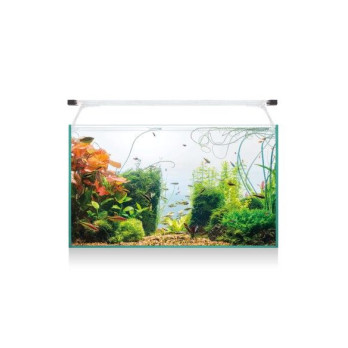 Acuario ICA aqualight KALI60 60 cm y 52 litros