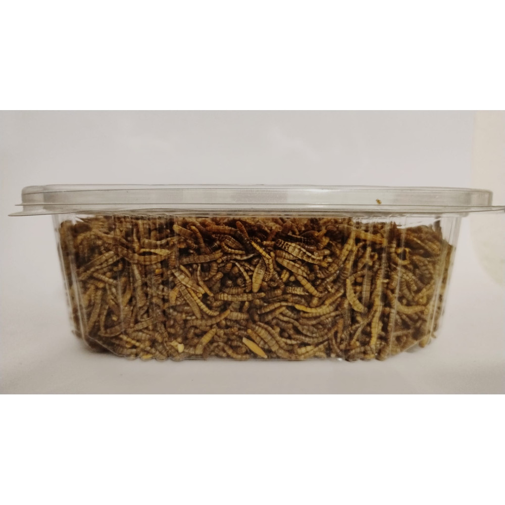 TENEBRIOS  Deshidratados 200 GR.
