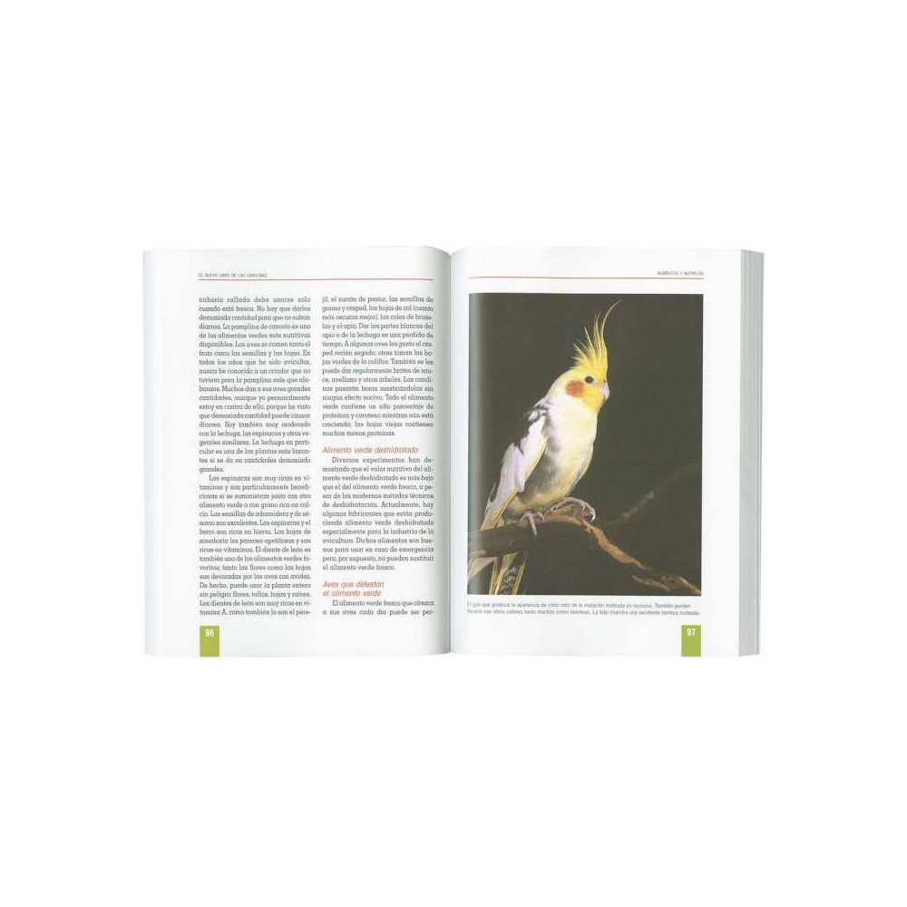 El libro de las CAROLINAS edicones TIKAL
