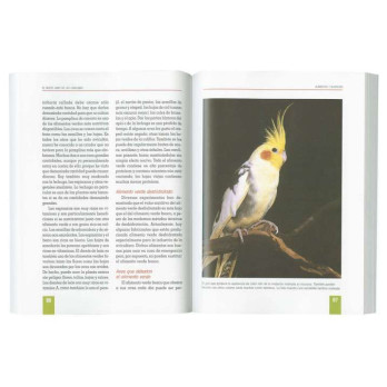 El libro de las CAROLINAS edicones TIKAL
