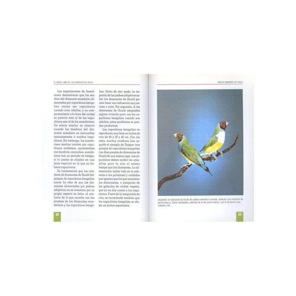 El libro de los DIAMANTES DE GOULD, ediciones TIKAL