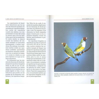 El libro de los DIAMANTES DE GOULD, ediciones TIKAL