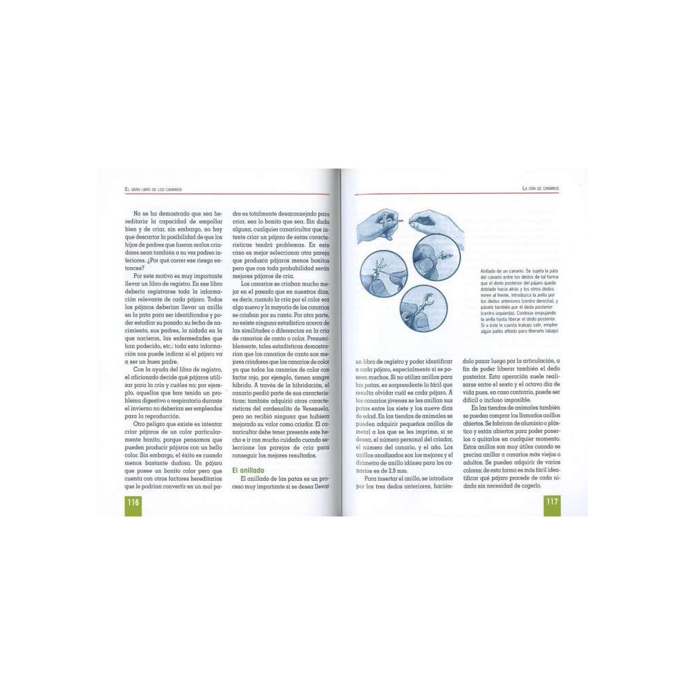 El libro de los CANARIOS, ediciones TIKAL El libro de los CANARIOS, ediciones TIKAL