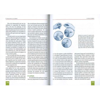 El libro de los CANARIOS, ediciones TIKAL
