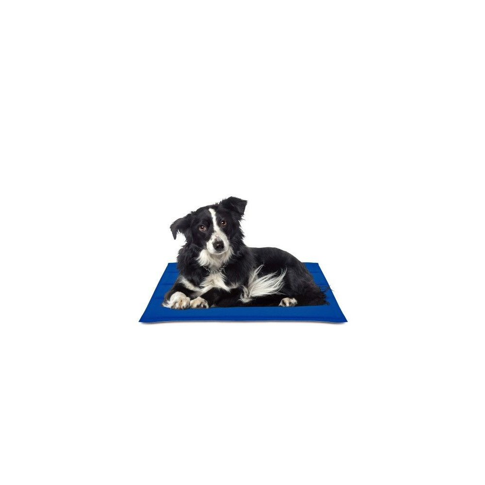 ESTERILLA COOL MAT GEL AZUL 90X50 cm |