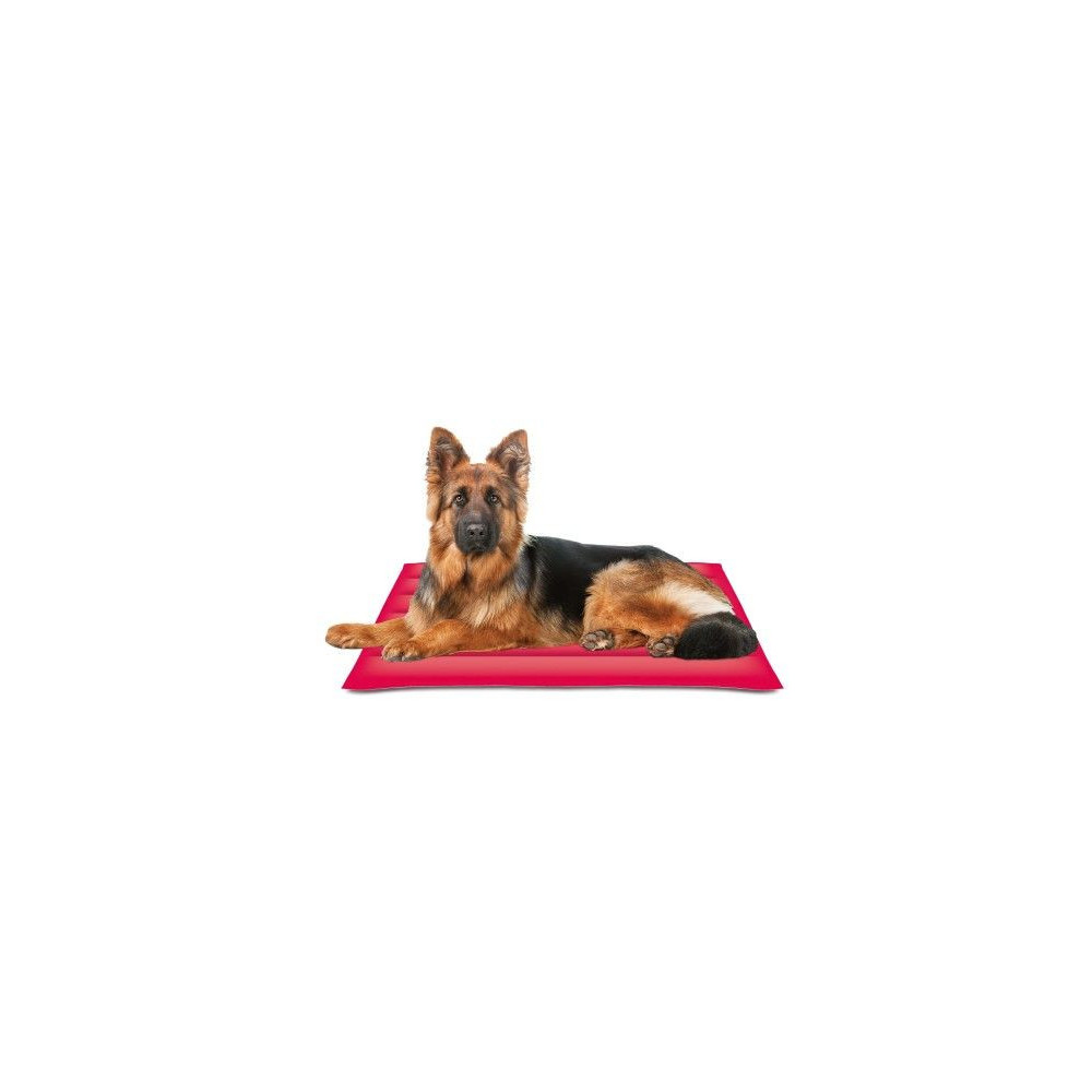 ESTERILLA COOL MAT GEL CORAL 105X90 cm |