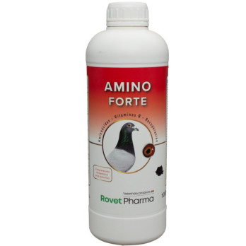 Amino Forte 1 L | Complejo de Vitaminas y Aminoácidos de Alta Concentración para Palomas