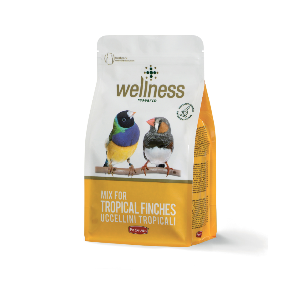 Comida para Aves Tropicales Wellness Padovan – 1 kg | Mixtura Súper Premium con Vitaminas y Fruta