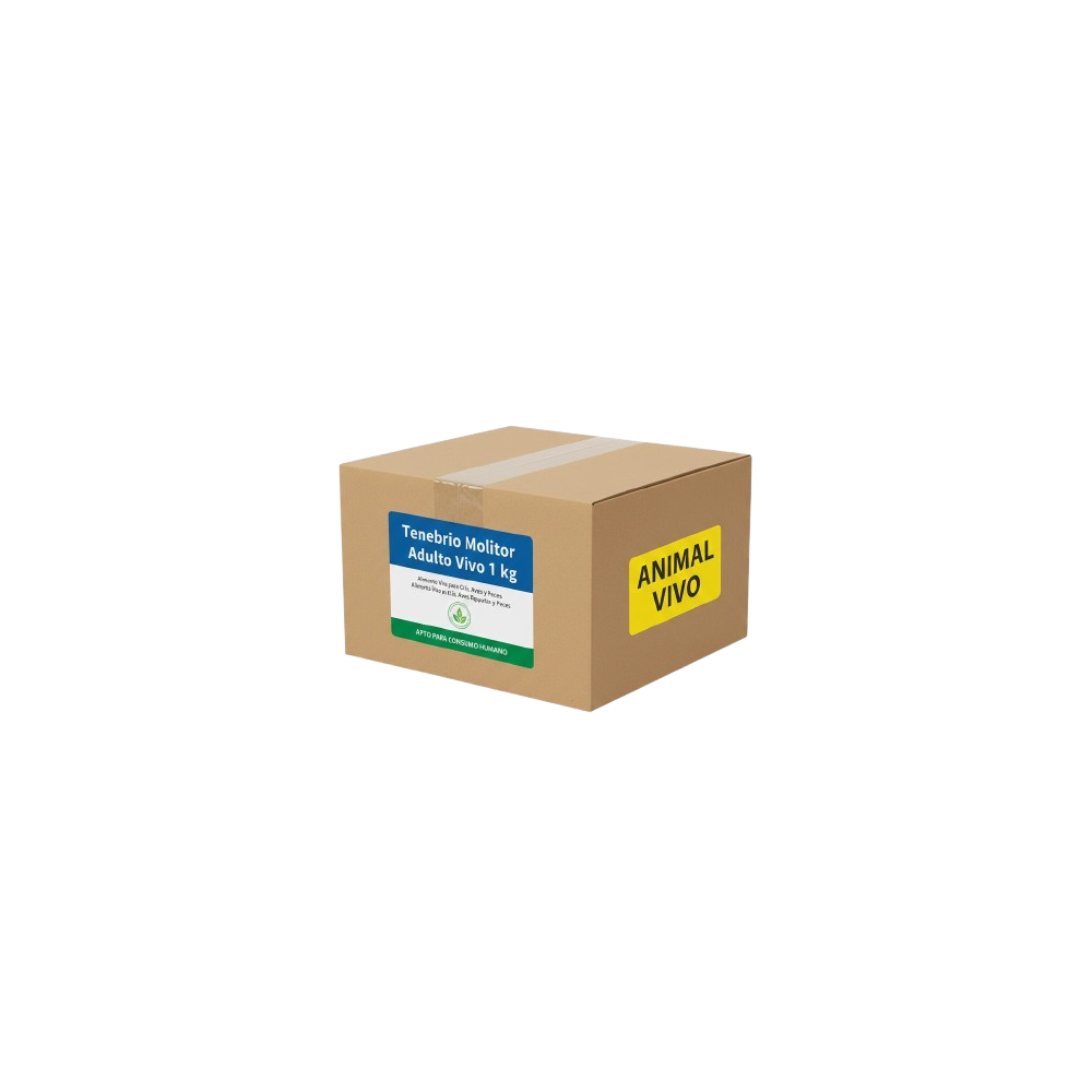 Tenebrio Molitor Adulto Vivo 1 kg | Alimento Vivo para Cría, Aves y Peces