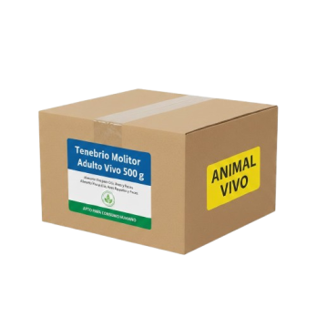 Tenebrio Molitor Adulto Vivo 500 g | Alimento Vivo para Cría, Aves y Peces