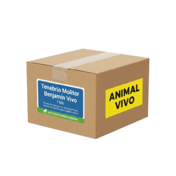 Tenebrio Molitor Benjamín Vivo 1 kg | Alimento Vivo Mini para Cría, Aves Pequeñas y Peces