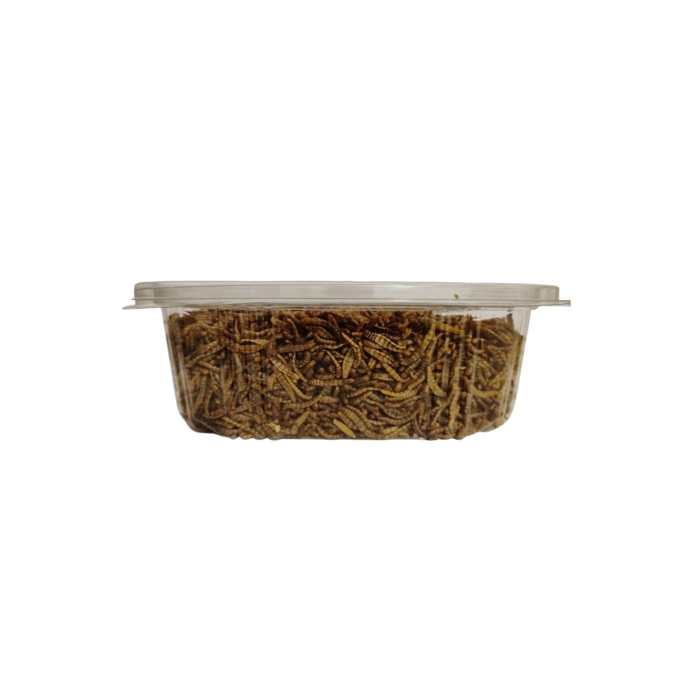 Tenebrios Deshidratados 200 g | Proteína Natural y Duradera para Aves y Peces