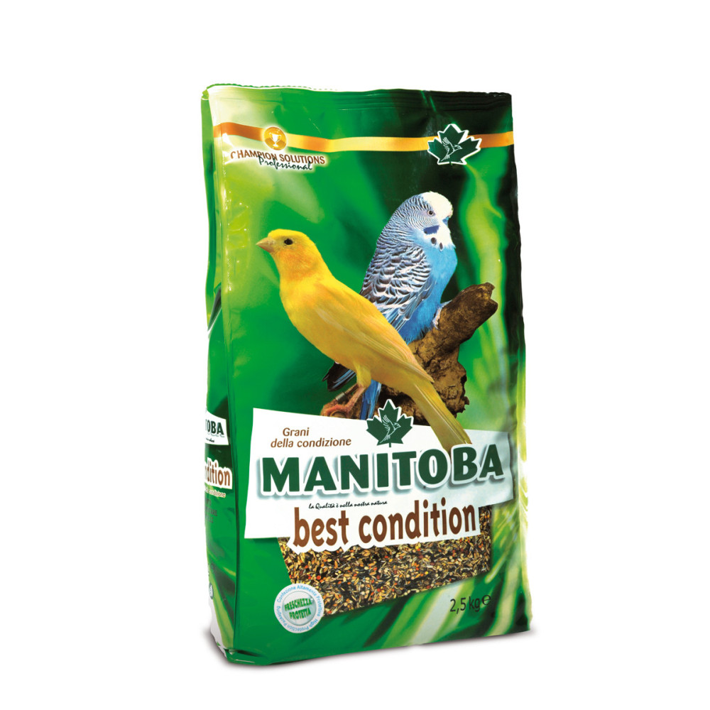 Manitoba Best Condition 2,5 kg | Mezcla de Semillas Funcionales para la Salud