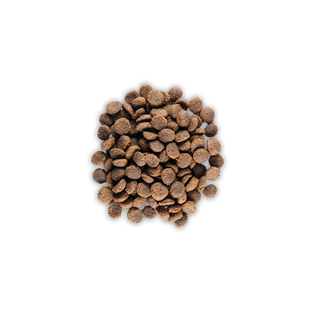 Pienso para Cachorros y Madres Maxican Puppy 20 kg| Alta Nutrición para Crecimiento