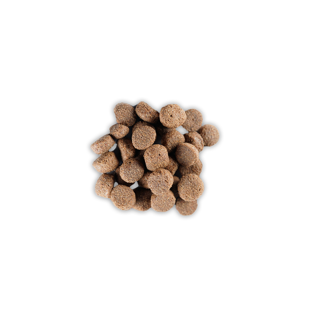 Pienso para Perros Maxican Adult 20 kg| Alimento de Mantenimiento Diario