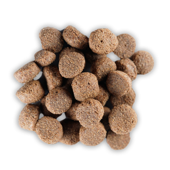 Pienso para Perros Maxican Adult 20 kg| Alimento de Mantenimiento Diario