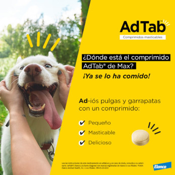 AdTab Comprimido Masticable para Perros 2,5-5,5 kg 1 ud. | Antiparasitario Externo