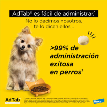 AdTab Comprimidos Masticables Perro 5,5–11 kg | Antiparasitario Oral contra Pulgas y Garrapatas