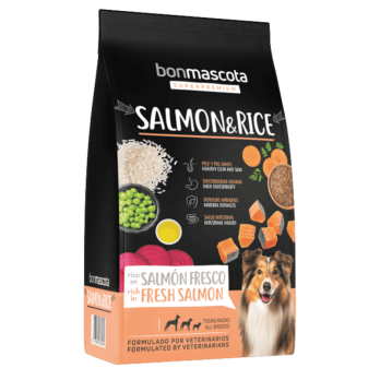 BonMascota Salmón & Rice 20 kg | Pienso Super Premium para Perros Adultos con Salmón Fresco y Arroz