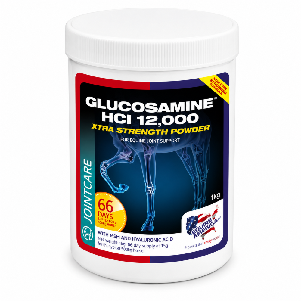 EQUINE AMERICA Glucosamine HCl 12,000 1 kg | Suplemento para Articulaciones y Movilidad en Caballos