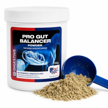 EQUINE AMERICA Pro Gut Balancer 450 g | Suplemento Digestivo con Prebióticos y Probióticos para Caballos