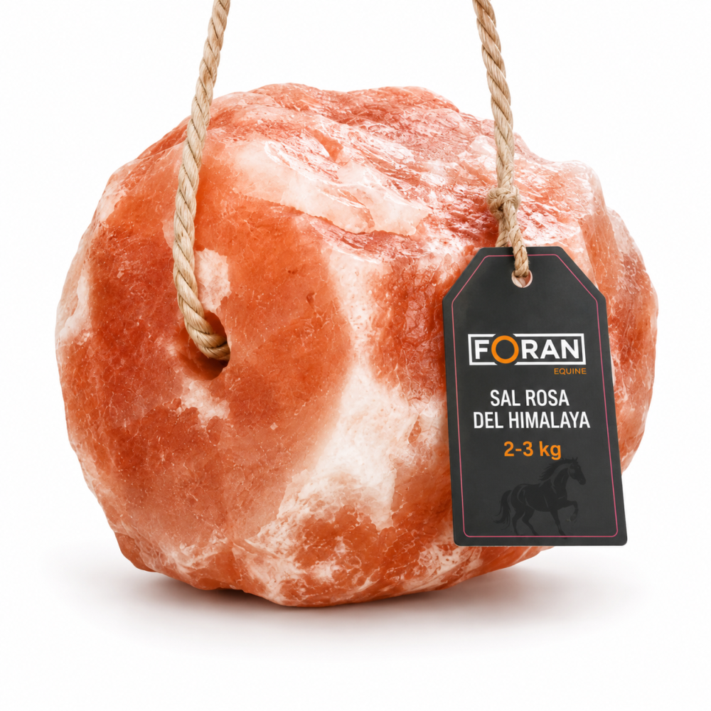 Sal Rosa del Himalaya 2-3 kg | Bloque Mineral Natural para Caballos