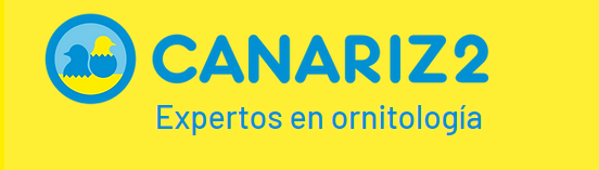 CANARIZ