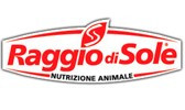 RAGGIO DI SOLE
