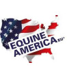 EQUINE AMERICA